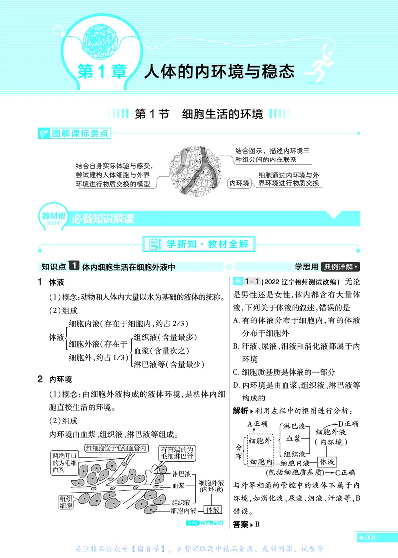 教材帮高中生物学选择性必修1（配RJ版）_高中三年全科资料_高中_高中电子教材_高中《教材帮》2025版高中《教材帮》（全科高清）_教材帮高中生物