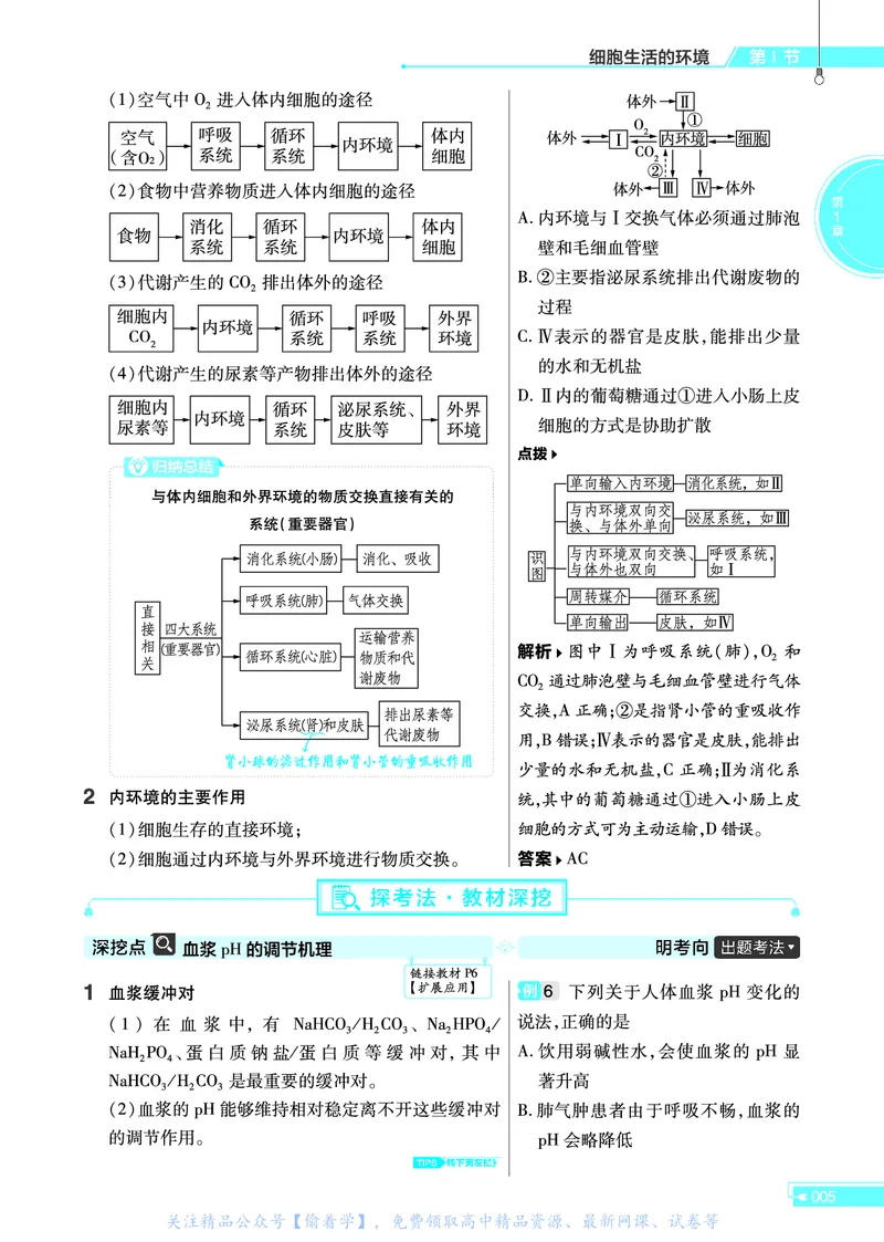 教材帮高中生物学选择性必修1（配RJ版）_高中三年全科资料_高中_高中电子教材_高中《教材帮》2025版高中《教材帮》（全科高清）_教材帮高中生物