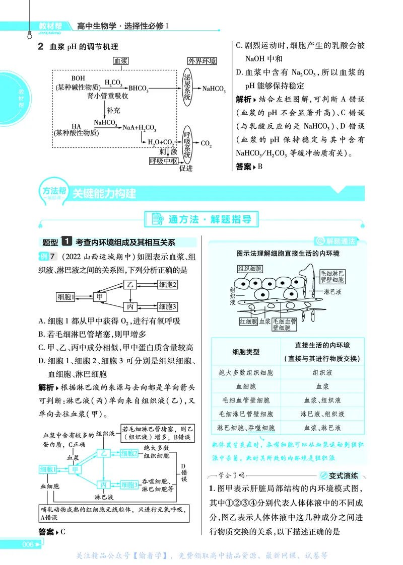 教材帮高中生物学选择性必修1（配RJ版）_高中三年全科资料_高中_高中电子教材_高中《教材帮》2025版高中《教材帮》（全科高清）_教材帮高中生物