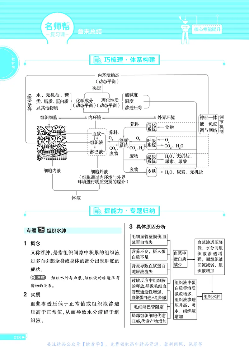 教材帮高中生物学选择性必修1（配RJ版）_高中三年全科资料_高中_高中电子教材_高中《教材帮》2025版高中《教材帮》（全科高清）_教材帮高中生物