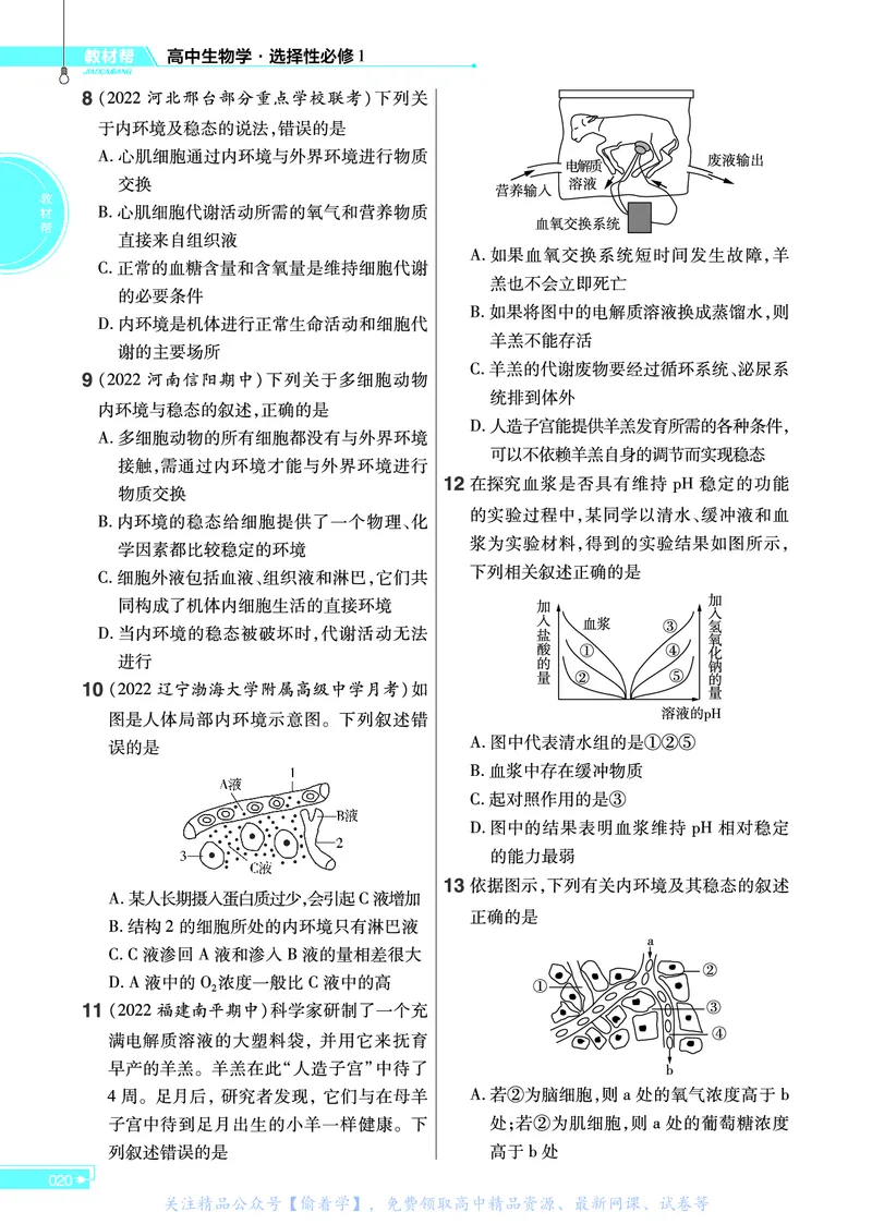 教材帮高中生物学选择性必修1（配RJ版）_高中三年全科资料_高中_高中电子教材_高中《教材帮》2025版高中《教材帮》（全科高清）_教材帮高中生物