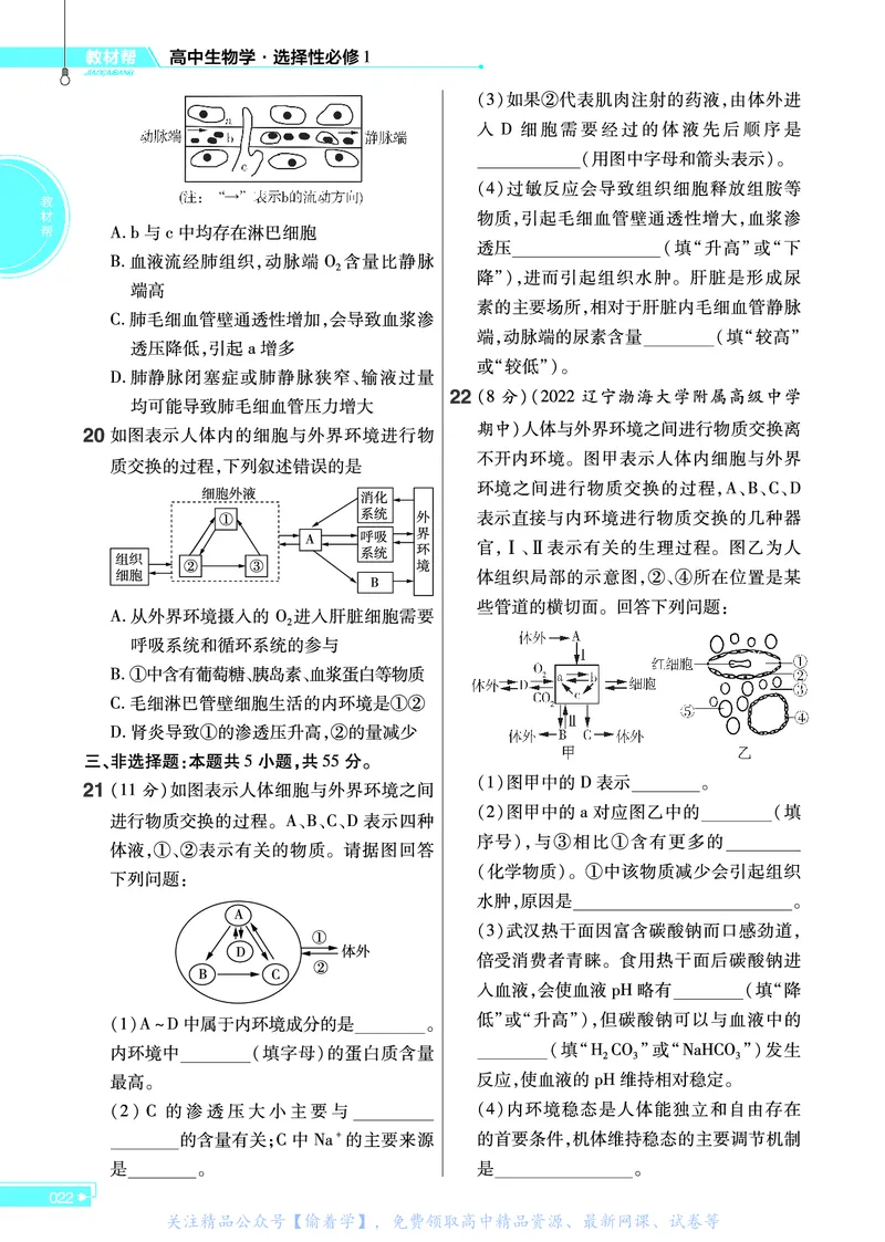 教材帮高中生物学选择性必修1（配RJ版）_高中三年全科资料_高中_高中电子教材_高中《教材帮》2025版高中《教材帮》（全科高清）_教材帮高中生物