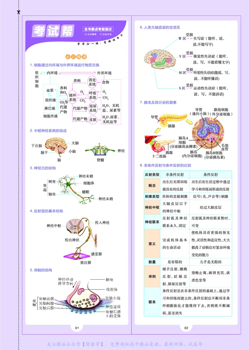 教材帮高中生物学选择性必修1（配RJ版）_高中三年全科资料_高中_高中电子教材_高中《教材帮》2025版高中《教材帮》（全科高清）_教材帮高中生物