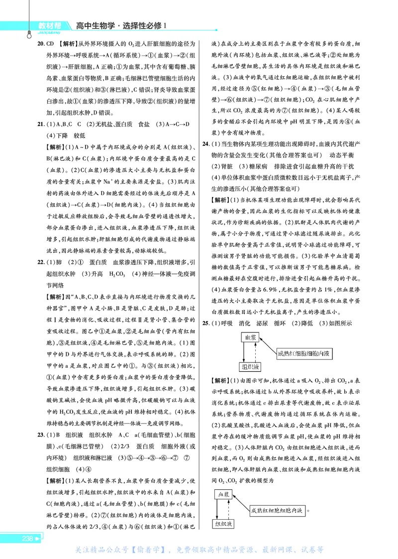 教材帮高中生物学选择性必修1（配RJ版）_高中三年全科资料_高中_高中电子教材_高中《教材帮》2025版高中《教材帮》（全科高清）_教材帮高中生物