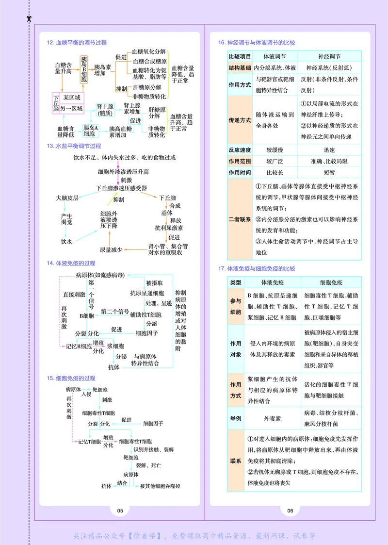 教材帮高中生物学选择性必修1（配RJ版）_高中三年全科资料_高中_高中电子教材_高中《教材帮》2025版高中《教材帮》（全科高清）_教材帮高中生物