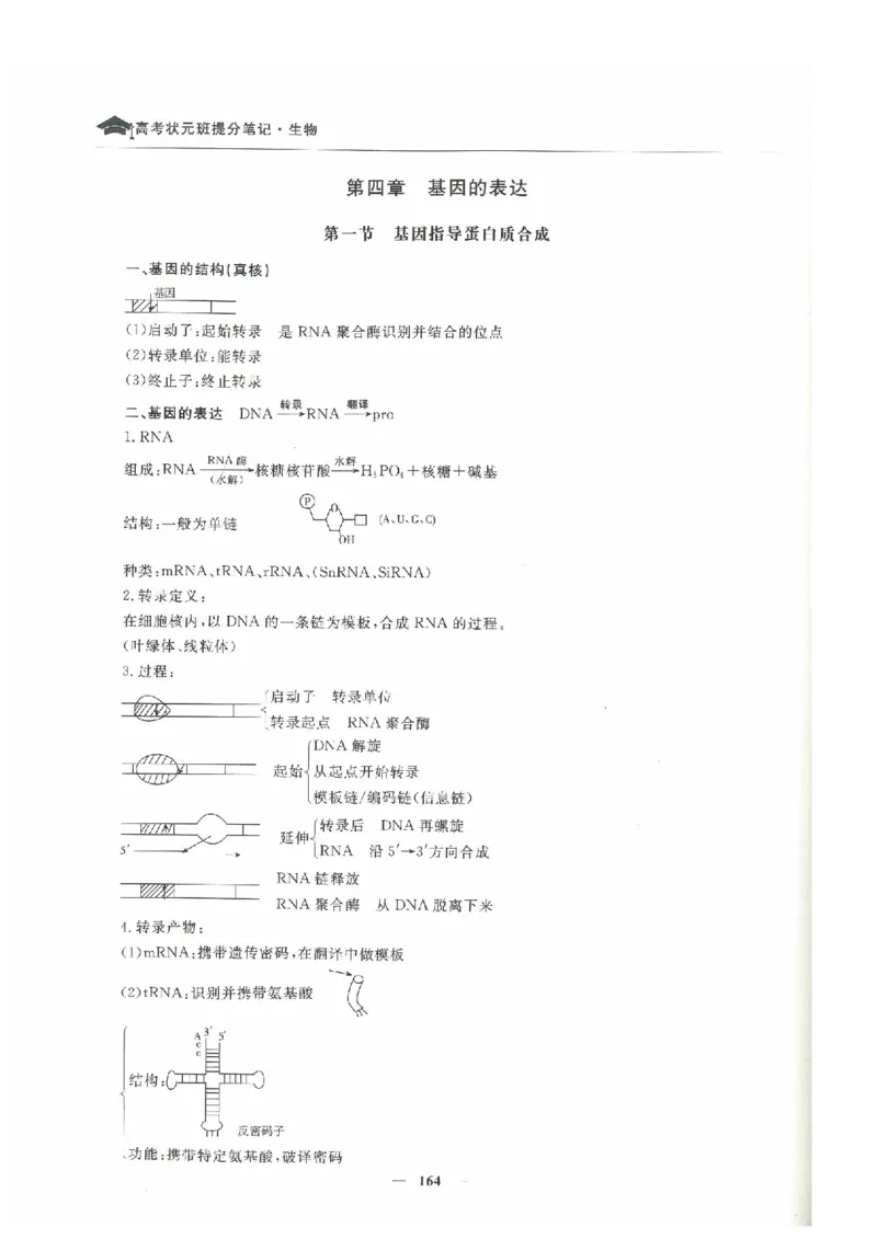 生物高考状元班提分笔记_高中三年全科资料_高中_高中1_《高考状元班提分笔记》