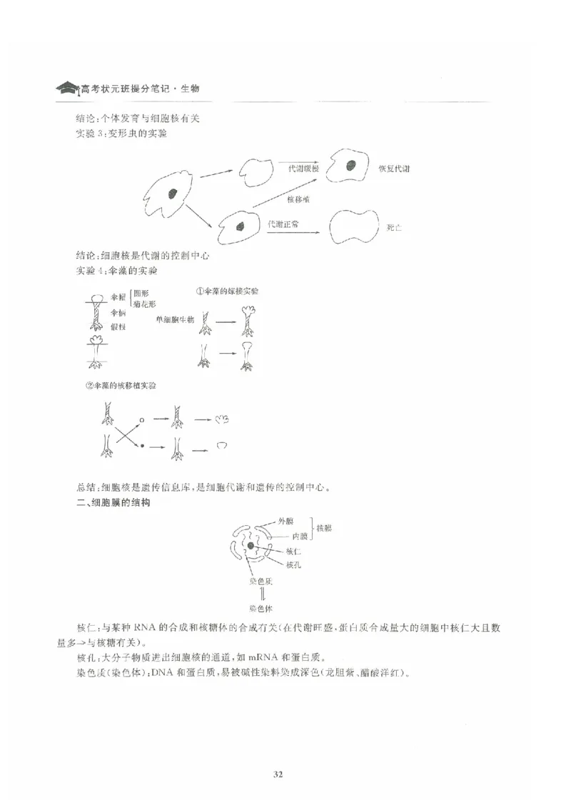 生物高考状元班提分笔记_高中三年全科资料_高中_高中1_《高考状元班提分笔记》