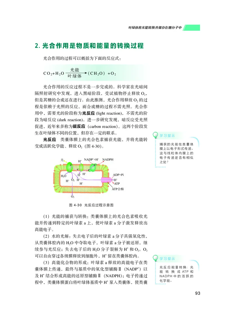 普通高中教科书生物学必修1分子与细胞_高中三年全科资料_高中_高中电子教材_高中生物学_沪科技版