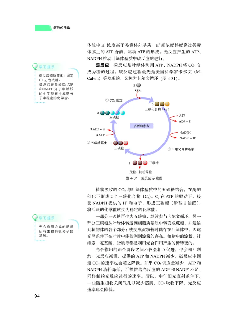 普通高中教科书生物学必修1分子与细胞_高中三年全科资料_高中_高中电子教材_高中生物学_沪科技版