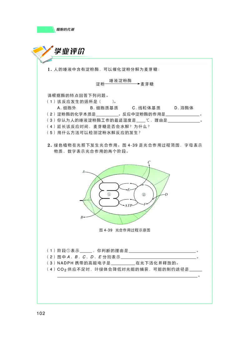 普通高中教科书生物学必修1分子与细胞_高中三年全科资料_高中_高中电子教材_高中生物学_沪科技版