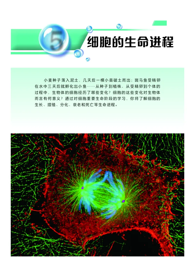 普通高中教科书生物学必修1分子与细胞_高中三年全科资料_高中_高中电子教材_高中生物学_沪科技版