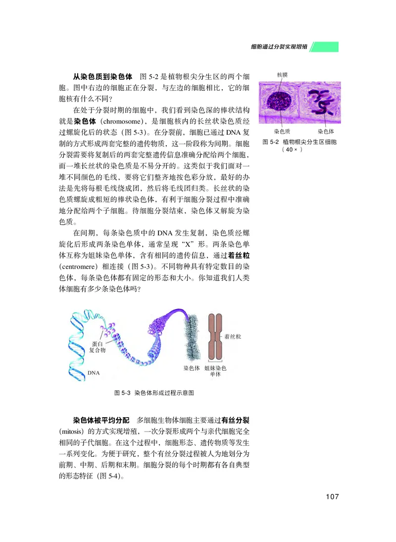 普通高中教科书生物学必修1分子与细胞_高中三年全科资料_高中_高中电子教材_高中生物学_沪科技版