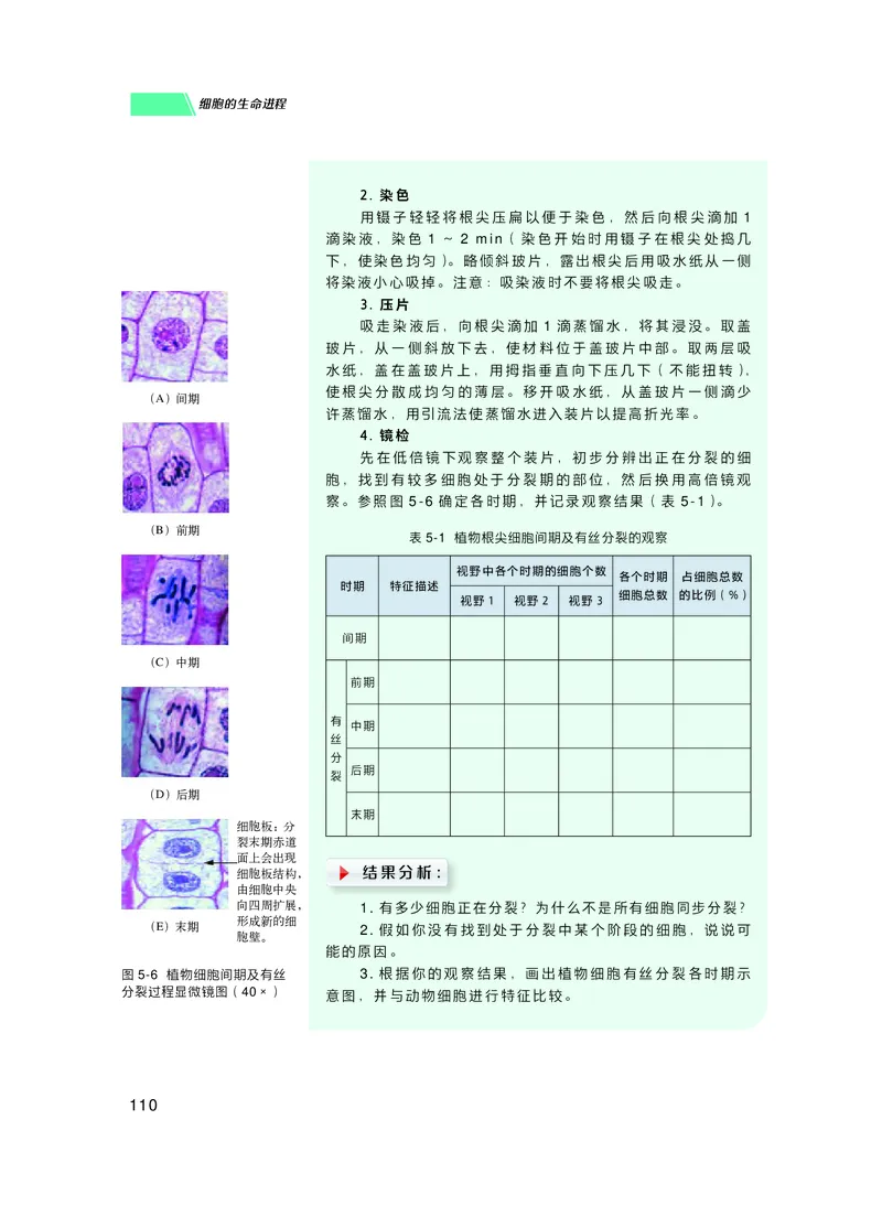 普通高中教科书生物学必修1分子与细胞_高中三年全科资料_高中_高中电子教材_高中生物学_沪科技版
