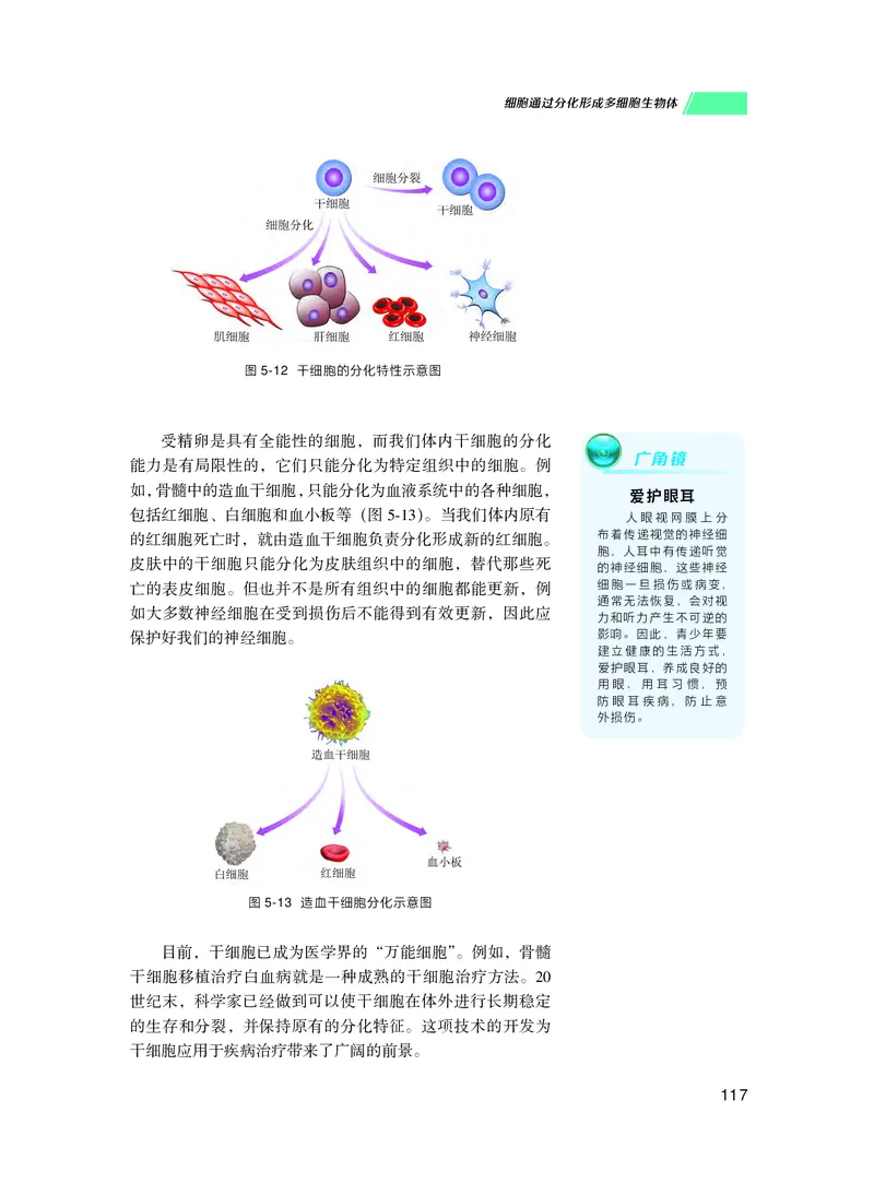 普通高中教科书生物学必修1分子与细胞_高中三年全科资料_高中_高中电子教材_高中生物学_沪科技版