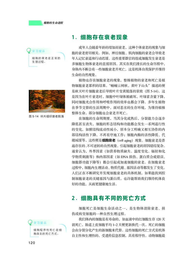 普通高中教科书生物学必修1分子与细胞_高中三年全科资料_高中_高中电子教材_高中生物学_沪科技版