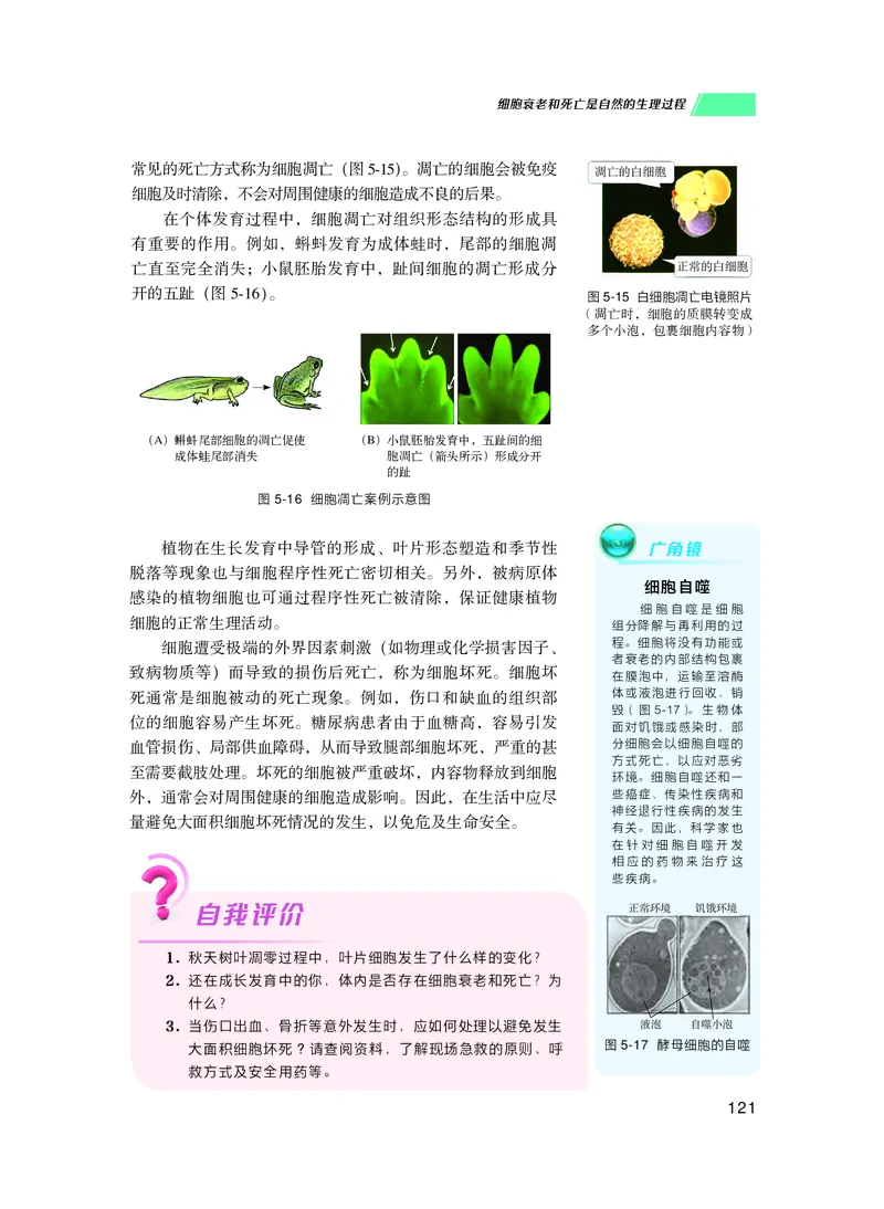 普通高中教科书生物学必修1分子与细胞_高中三年全科资料_高中_高中电子教材_高中生物学_沪科技版