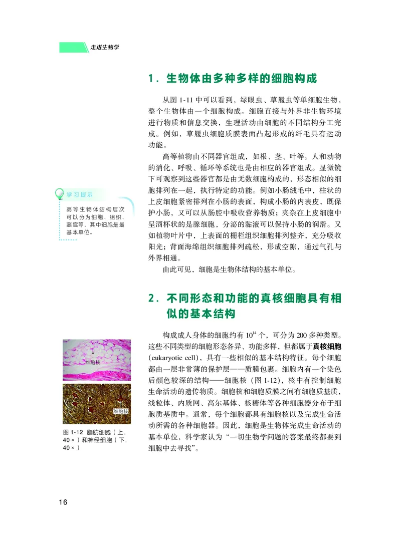 普通高中教科书生物学必修1分子与细胞_高中三年全科资料_高中_高中电子教材_高中生物学_沪科技版