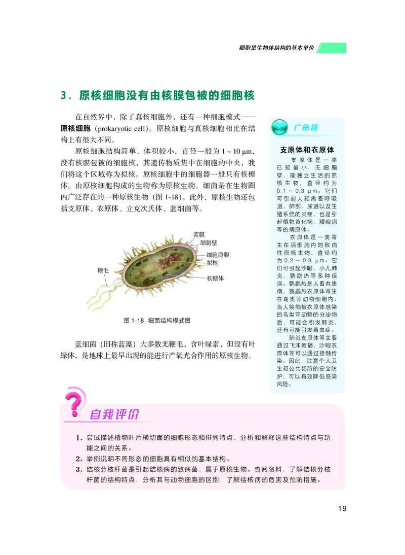 普通高中教科书生物学必修1分子与细胞_高中三年全科资料_高中_高中电子教材_高中生物学_沪科技版