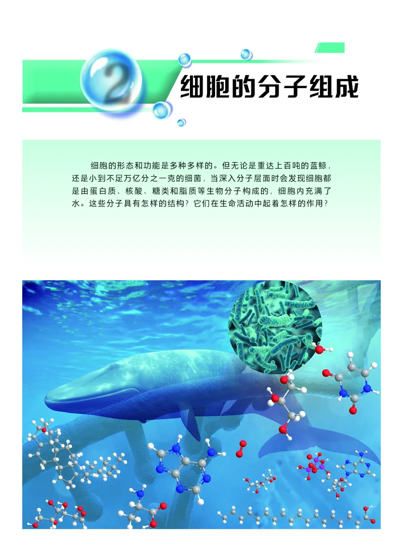 普通高中教科书生物学必修1分子与细胞_高中三年全科资料_高中_高中电子教材_高中生物学_沪科技版