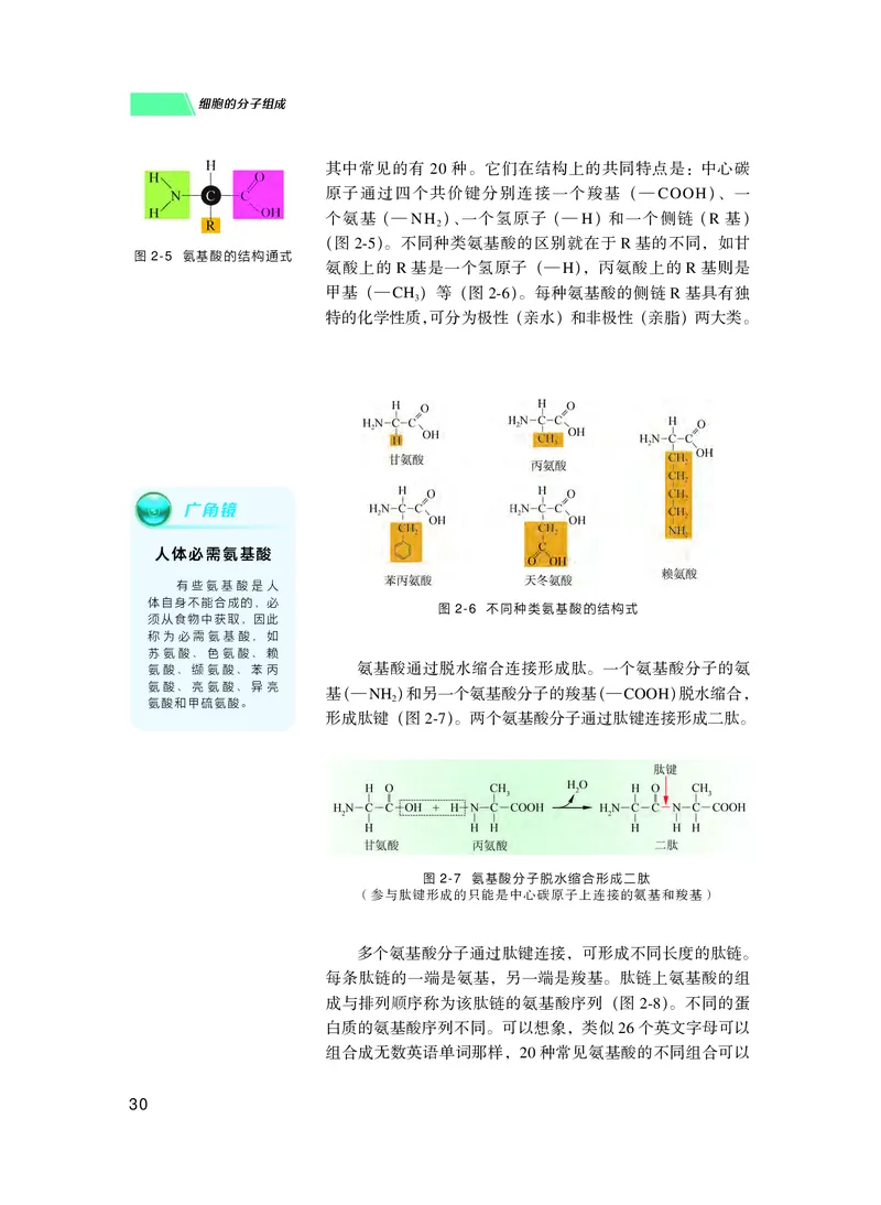 普通高中教科书生物学必修1分子与细胞_高中三年全科资料_高中_高中电子教材_高中生物学_沪科技版