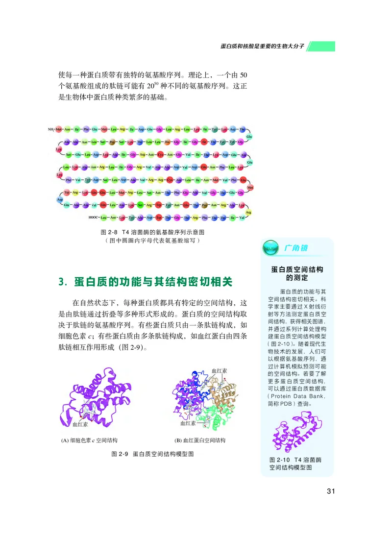 普通高中教科书生物学必修1分子与细胞_高中三年全科资料_高中_高中电子教材_高中生物学_沪科技版