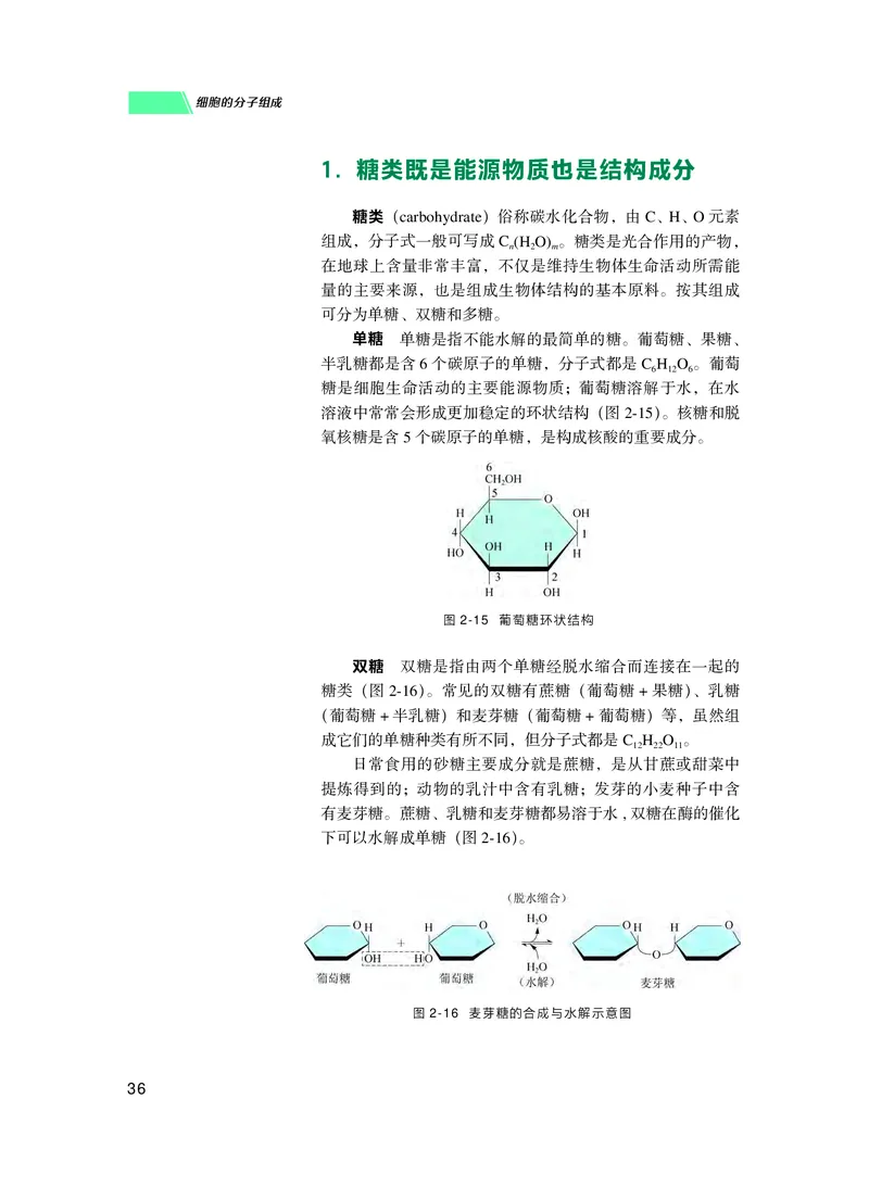 普通高中教科书生物学必修1分子与细胞_高中三年全科资料_高中_高中电子教材_高中生物学_沪科技版