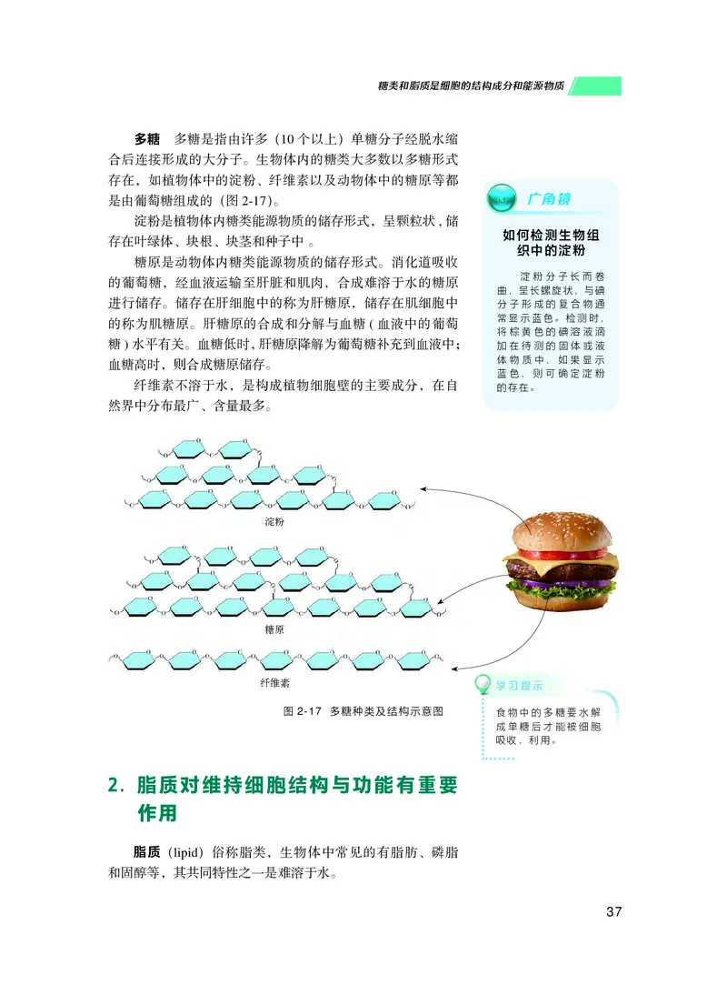 普通高中教科书生物学必修1分子与细胞_高中三年全科资料_高中_高中电子教材_高中生物学_沪科技版