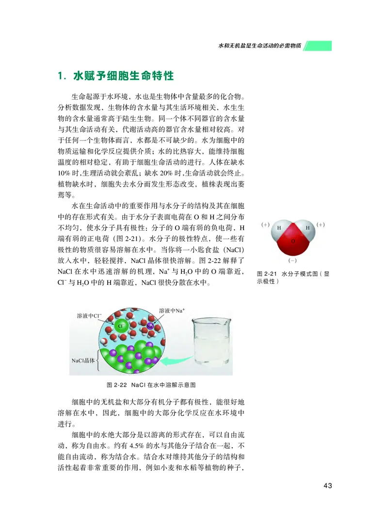 普通高中教科书生物学必修1分子与细胞_高中三年全科资料_高中_高中电子教材_高中生物学_沪科技版