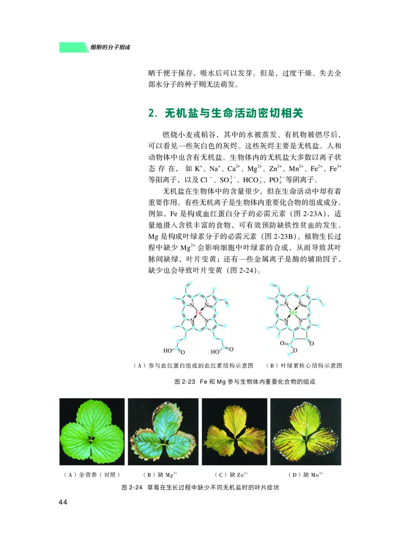 普通高中教科书生物学必修1分子与细胞_高中三年全科资料_高中_高中电子教材_高中生物学_沪科技版