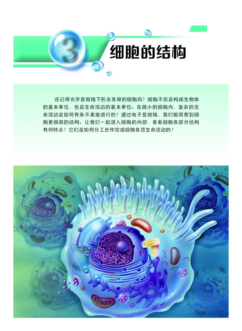 普通高中教科书生物学必修1分子与细胞_高中三年全科资料_高中_高中电子教材_高中生物学_沪科技版