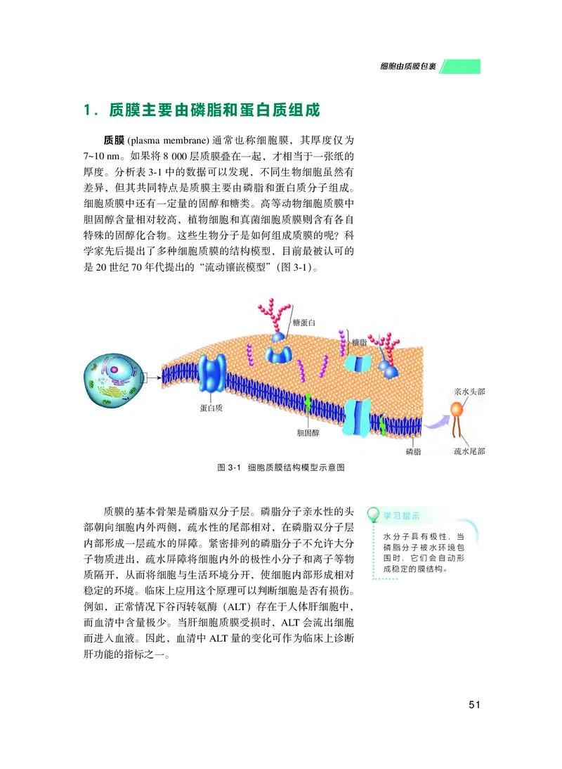 普通高中教科书生物学必修1分子与细胞_高中三年全科资料_高中_高中电子教材_高中生物学_沪科技版