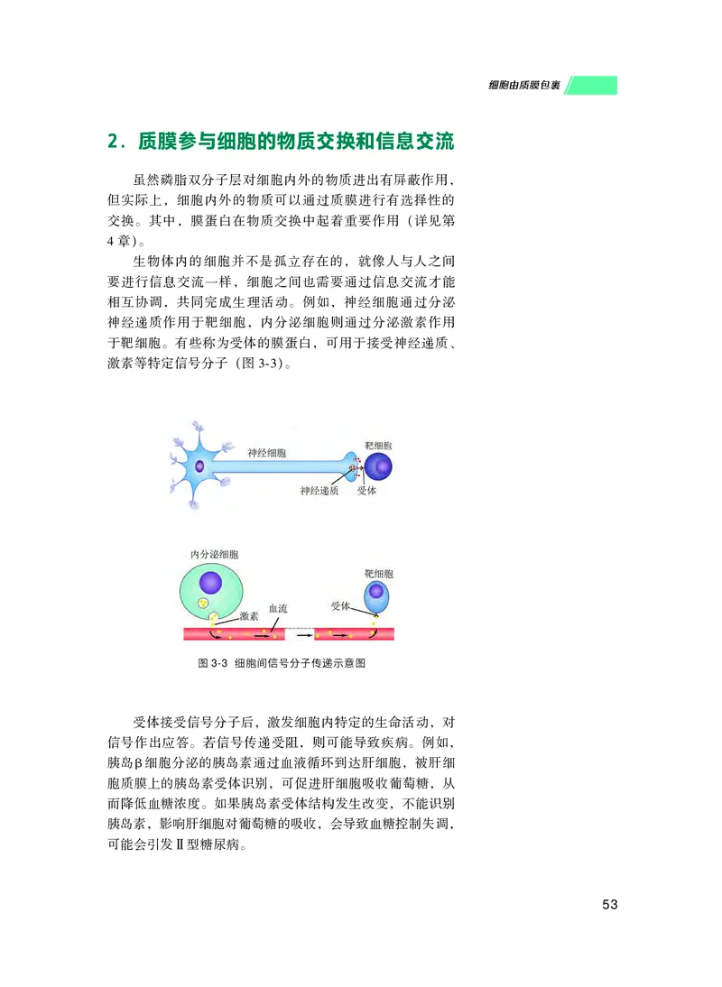 普通高中教科书生物学必修1分子与细胞_高中三年全科资料_高中_高中电子教材_高中生物学_沪科技版