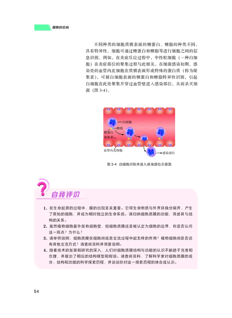 普通高中教科书生物学必修1分子与细胞_高中三年全科资料_高中_高中电子教材_高中生物学_沪科技版