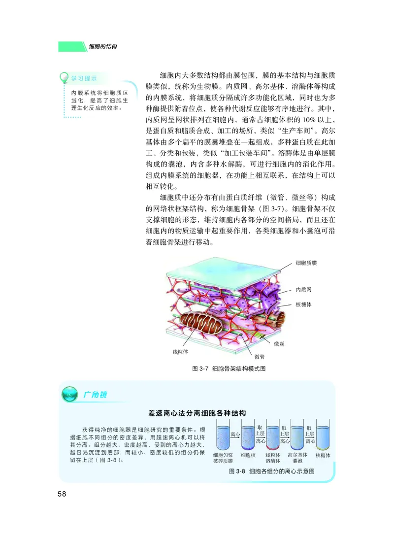 普通高中教科书生物学必修1分子与细胞_高中三年全科资料_高中_高中电子教材_高中生物学_沪科技版