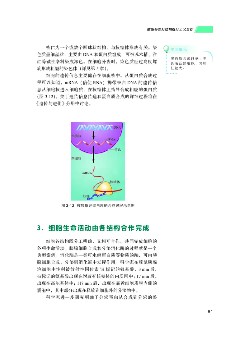 普通高中教科书生物学必修1分子与细胞_高中三年全科资料_高中_高中电子教材_高中生物学_沪科技版