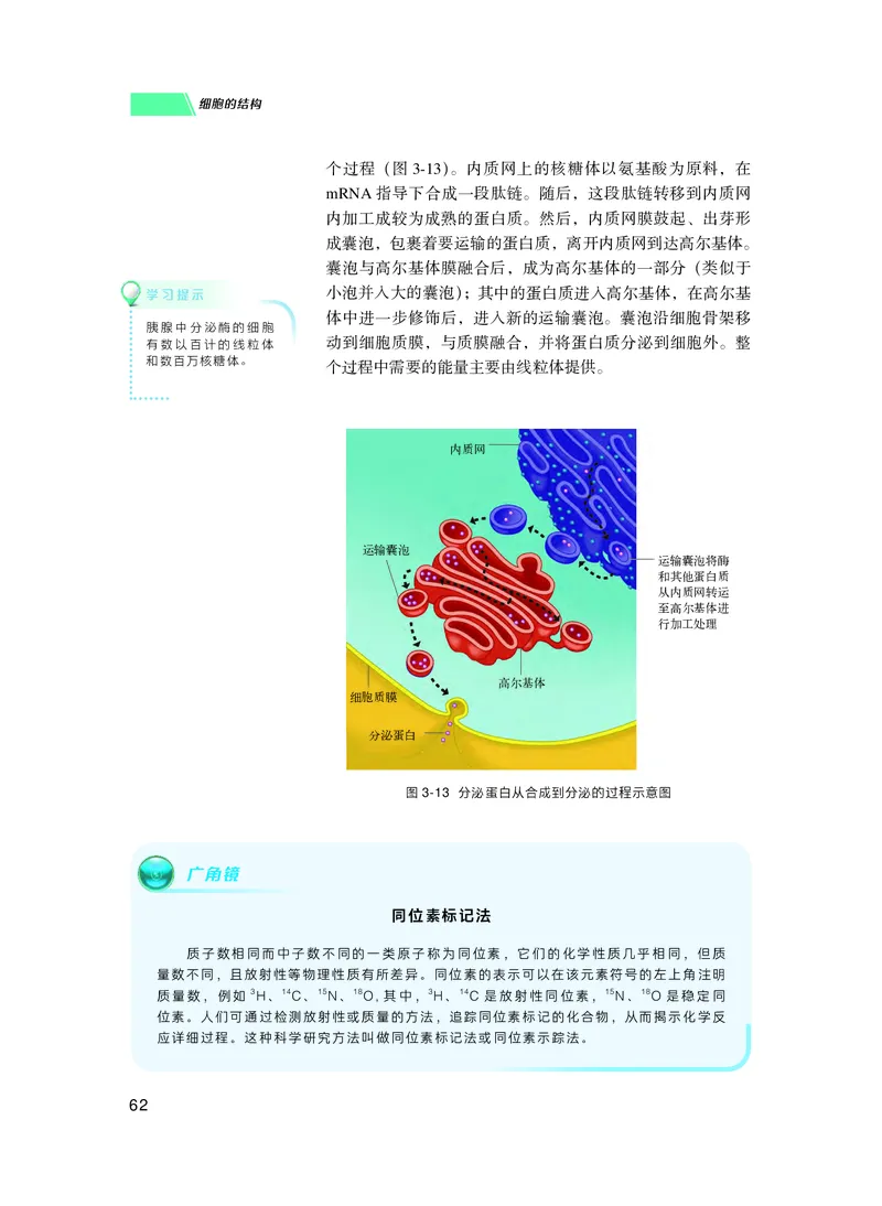 普通高中教科书生物学必修1分子与细胞_高中三年全科资料_高中_高中电子教材_高中生物学_沪科技版