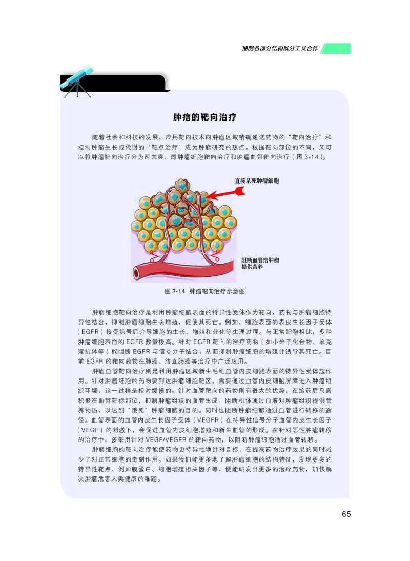 普通高中教科书生物学必修1分子与细胞_高中三年全科资料_高中_高中电子教材_高中生物学_沪科技版