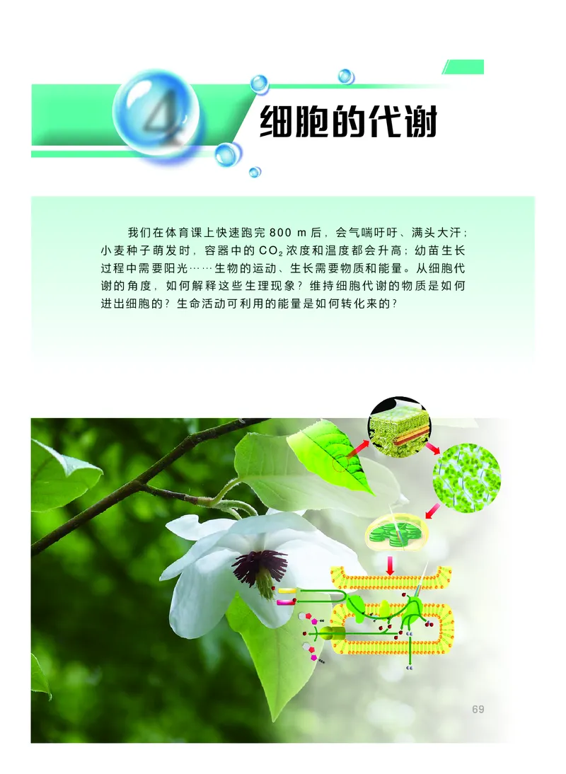 普通高中教科书生物学必修1分子与细胞_高中三年全科资料_高中_高中电子教材_高中生物学_沪科技版