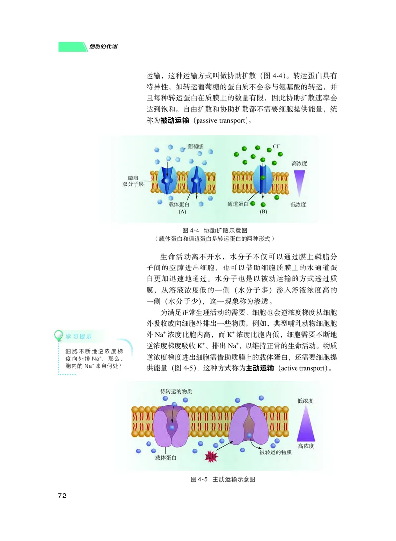 普通高中教科书生物学必修1分子与细胞_高中三年全科资料_高中_高中电子教材_高中生物学_沪科技版