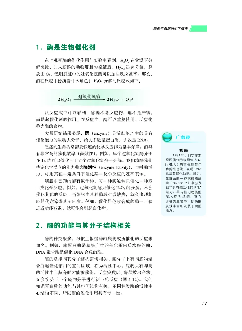 普通高中教科书生物学必修1分子与细胞_高中三年全科资料_高中_高中电子教材_高中生物学_沪科技版