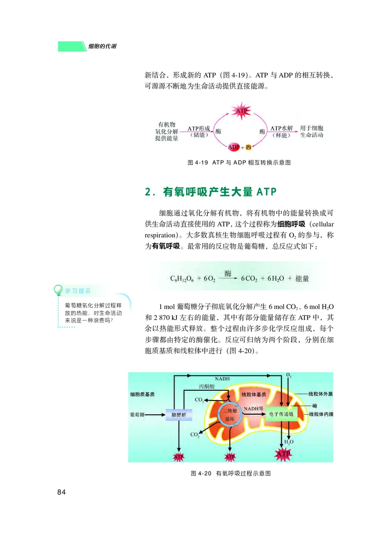 普通高中教科书生物学必修1分子与细胞_高中三年全科资料_高中_高中电子教材_高中生物学_沪科技版