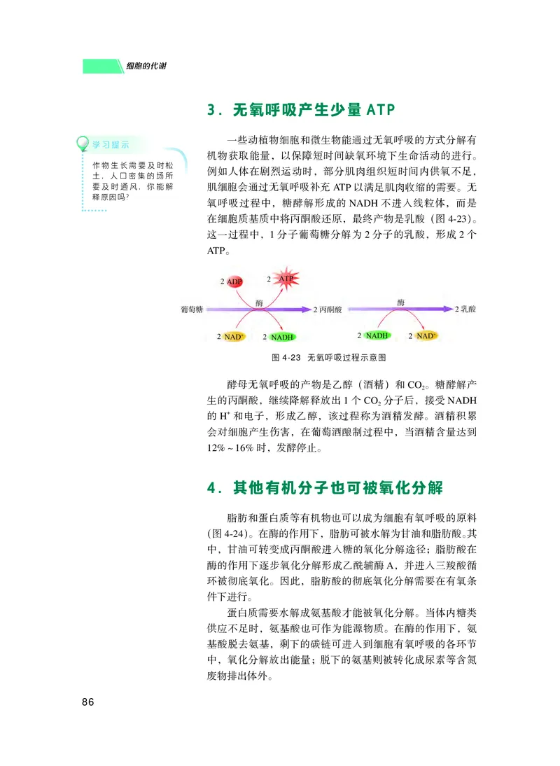普通高中教科书生物学必修1分子与细胞_高中三年全科资料_高中_高中电子教材_高中生物学_沪科技版