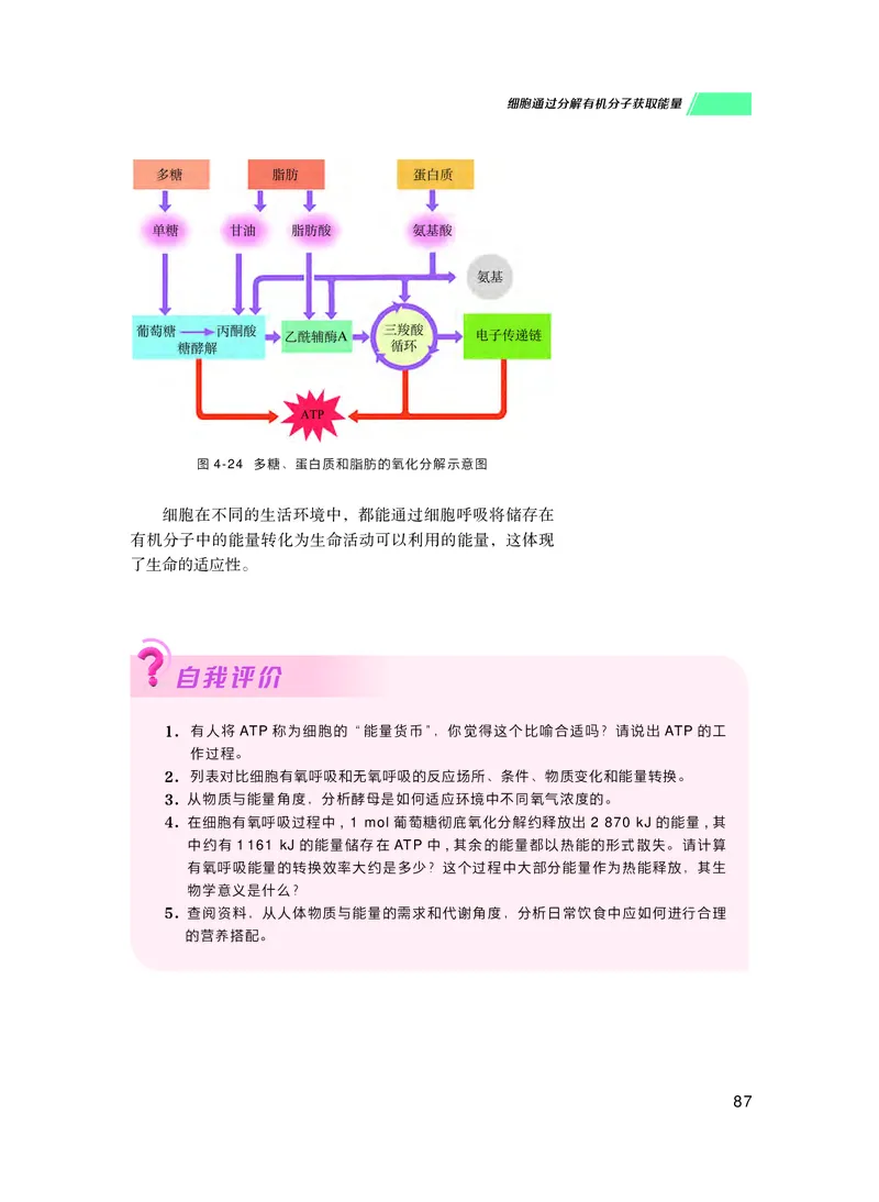 普通高中教科书生物学必修1分子与细胞_高中三年全科资料_高中_高中电子教材_高中生物学_沪科技版