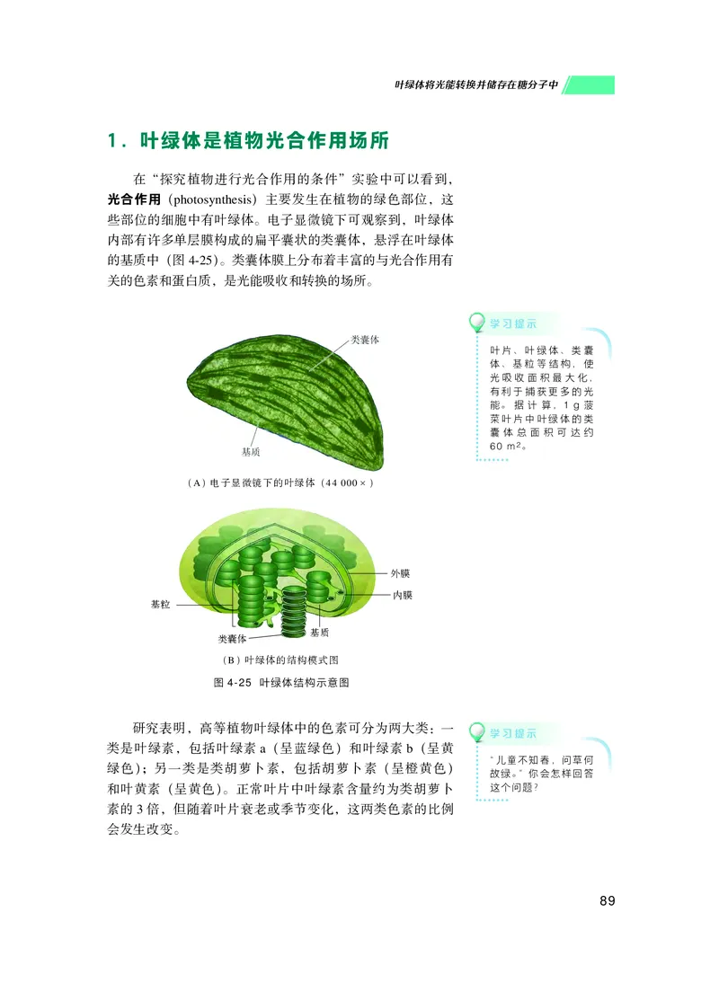 普通高中教科书生物学必修1分子与细胞_高中三年全科资料_高中_高中电子教材_高中生物学_沪科技版