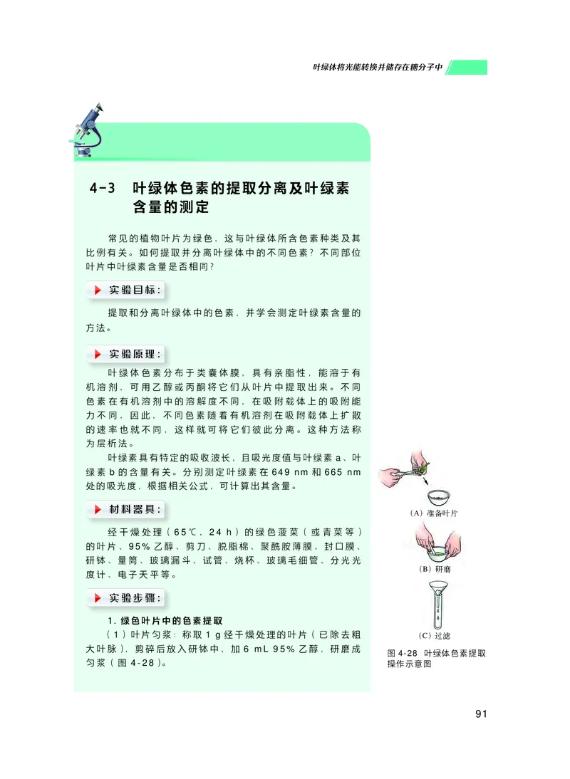 普通高中教科书生物学必修1分子与细胞_高中三年全科资料_高中_高中电子教材_高中生物学_沪科技版