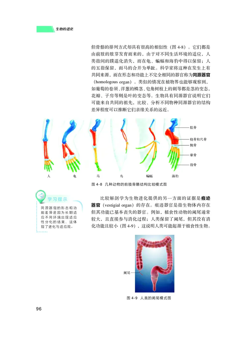 普通高中教科书生物学必修2遗传与进化_高中三年全科资料_高中_高中电子教材_高中生物学_沪科技版