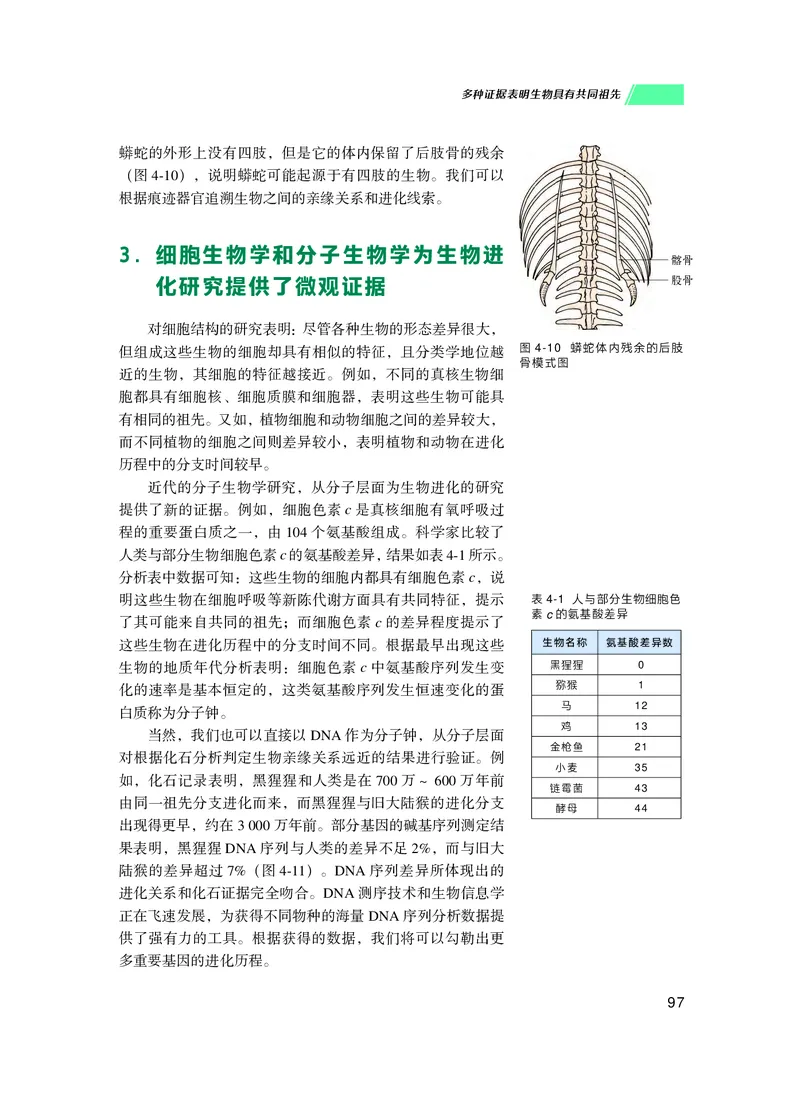 普通高中教科书生物学必修2遗传与进化_高中三年全科资料_高中_高中电子教材_高中生物学_沪科技版
