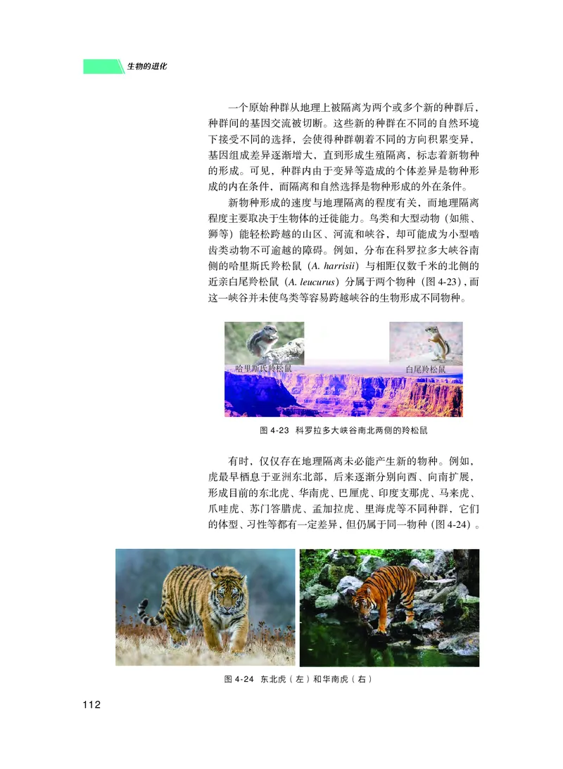 普通高中教科书生物学必修2遗传与进化_高中三年全科资料_高中_高中电子教材_高中生物学_沪科技版