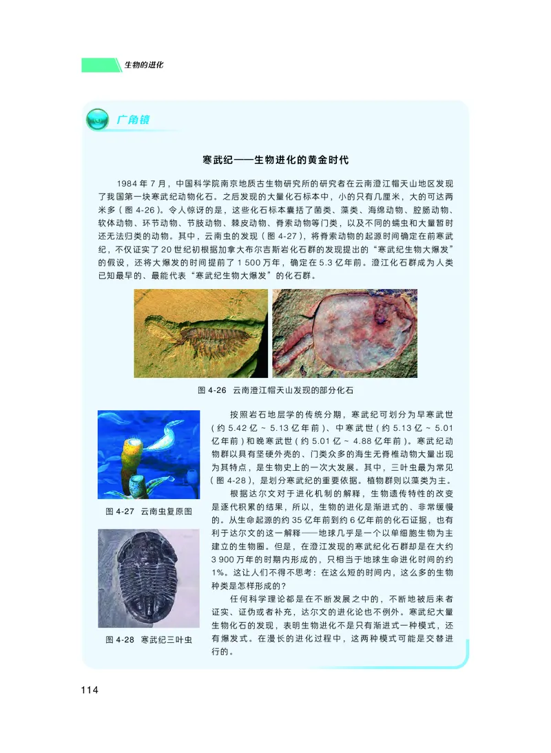 普通高中教科书生物学必修2遗传与进化_高中三年全科资料_高中_高中电子教材_高中生物学_沪科技版