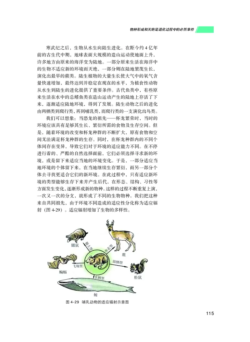 普通高中教科书生物学必修2遗传与进化_高中三年全科资料_高中_高中电子教材_高中生物学_沪科技版